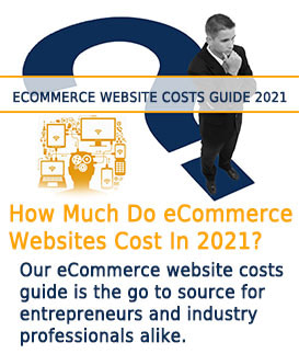 image of entrepreneur contemplating eCommerce website costs