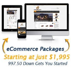 ecommerce website packages